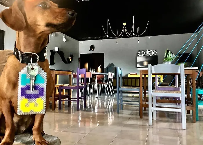 Хостел Lako Каподимонте